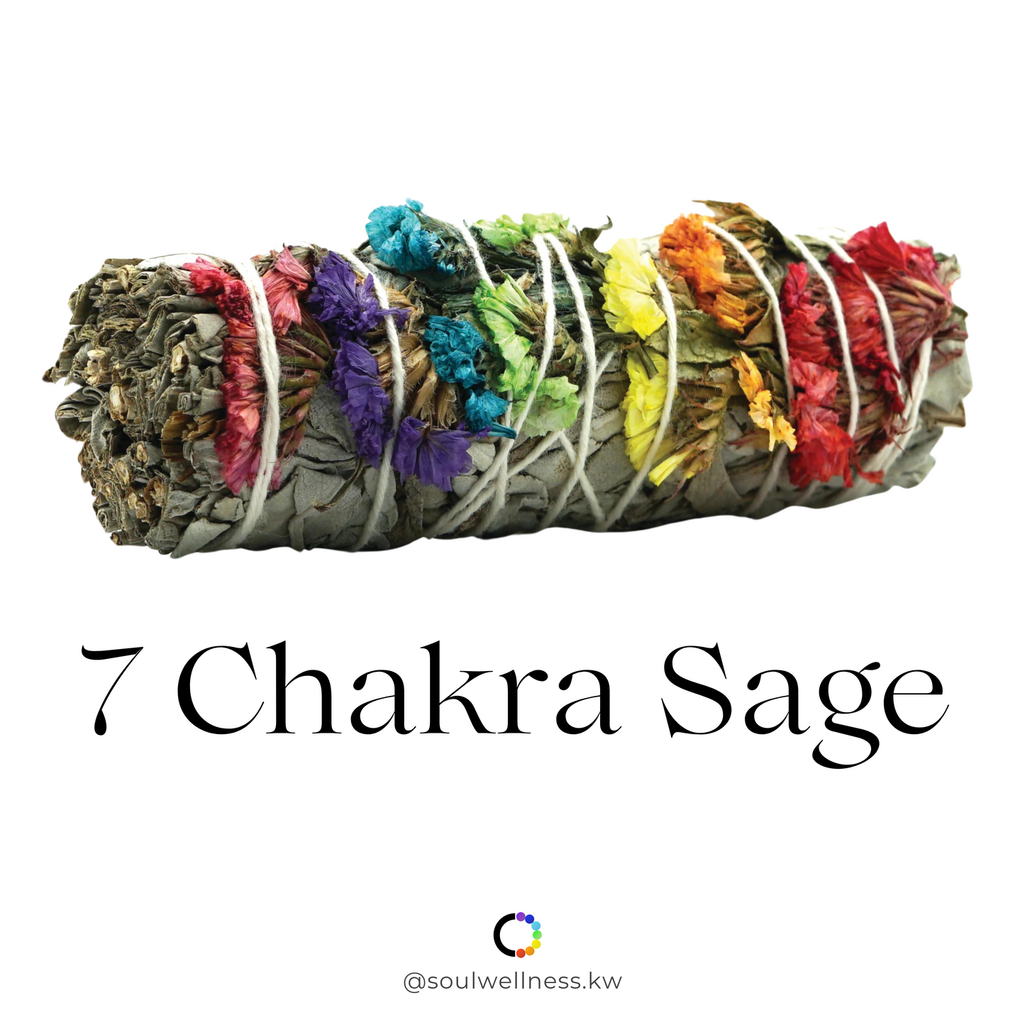 7 Chakra Sage