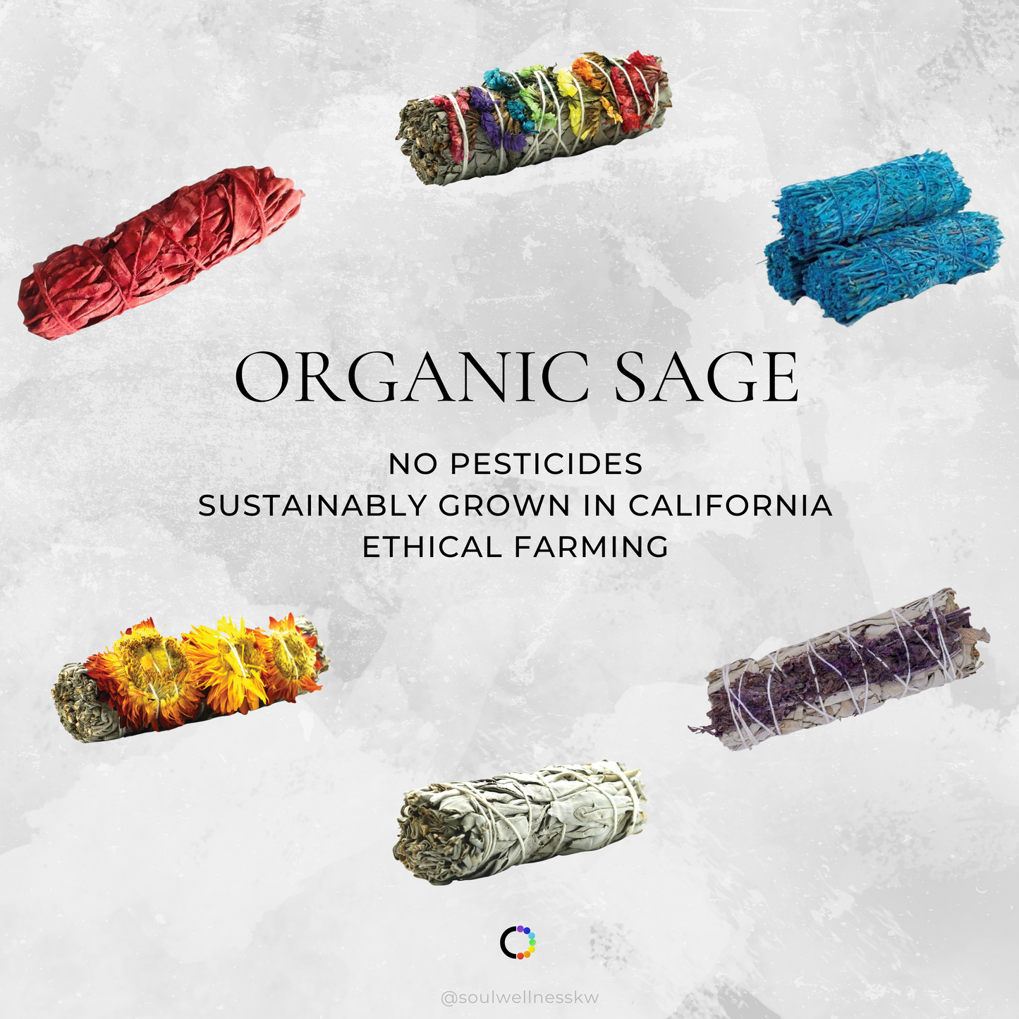 7 Chakra Sage