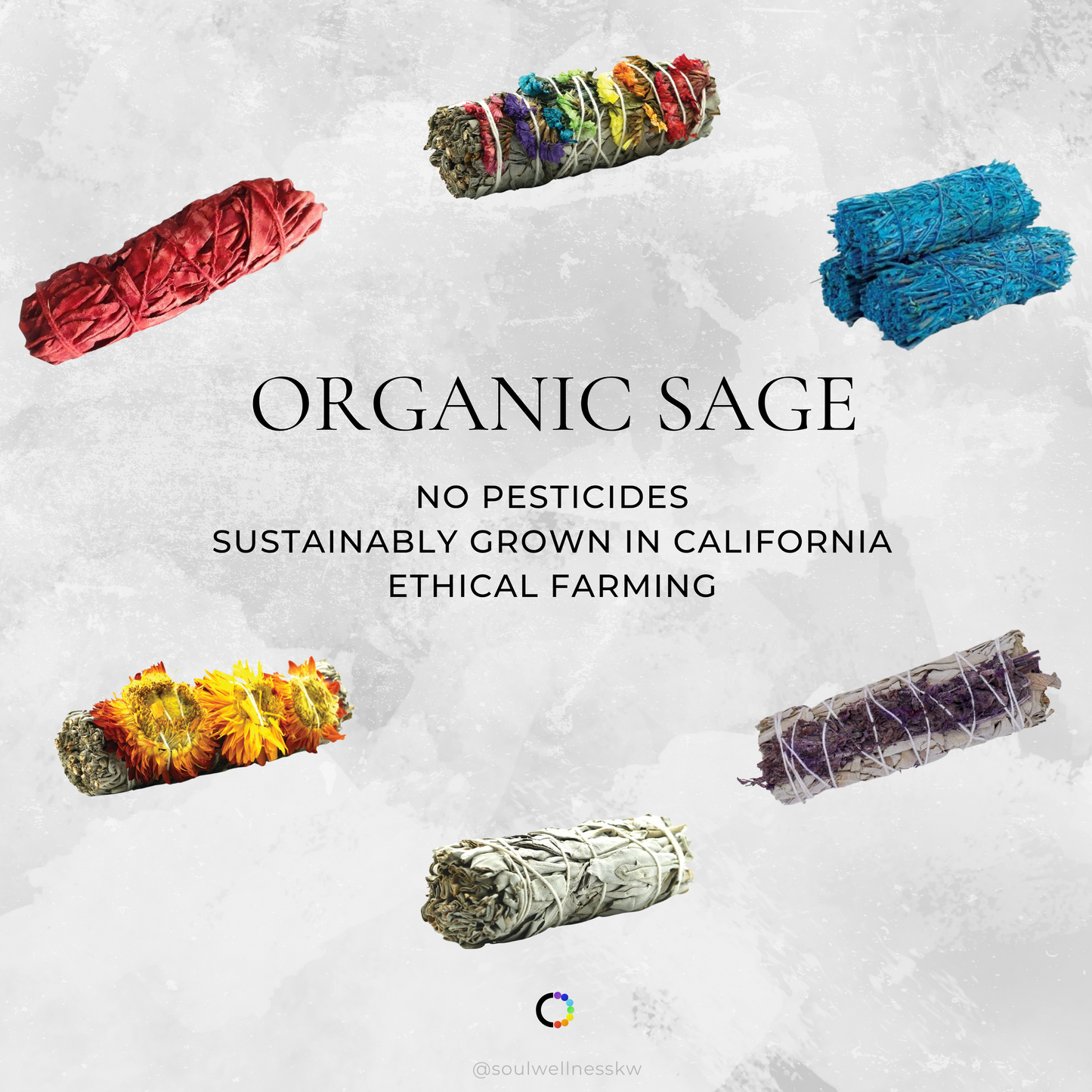 Sunflower Sage
